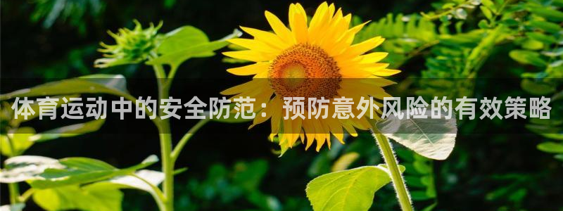 沐鸣23平台注册