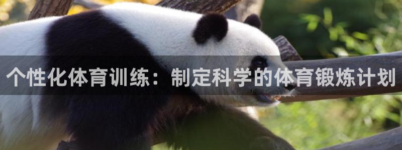 沐鸣娱乐主管