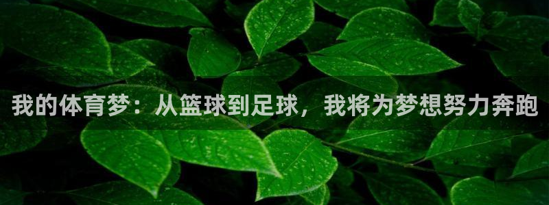 沐鸣2下载