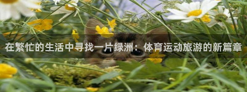 沐鸣平台主管