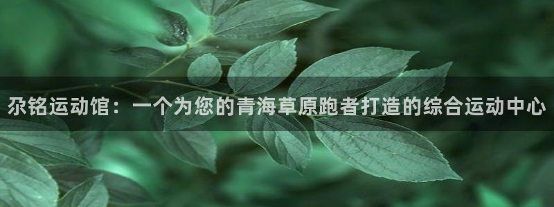 沐鸣2平台官网