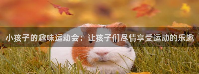 沐鸣2体育官网入口登录