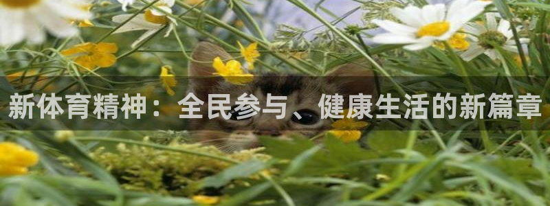 沐鸣2平台注册