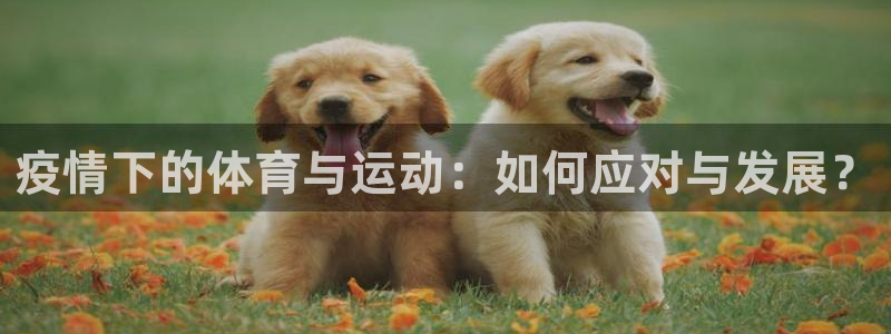 沐鸣2平台在线注册