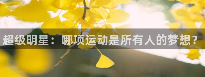 沐鸣2平台