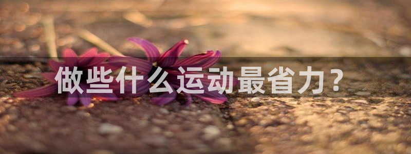 沐鸣2零能源集团