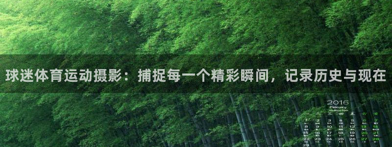 www.沐鸣2体育.com
