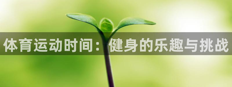 沐鸣2平台代理