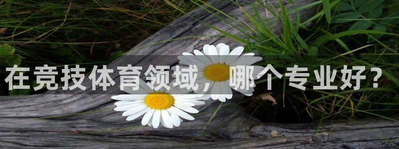 沐鸣2体育凯捷登陆