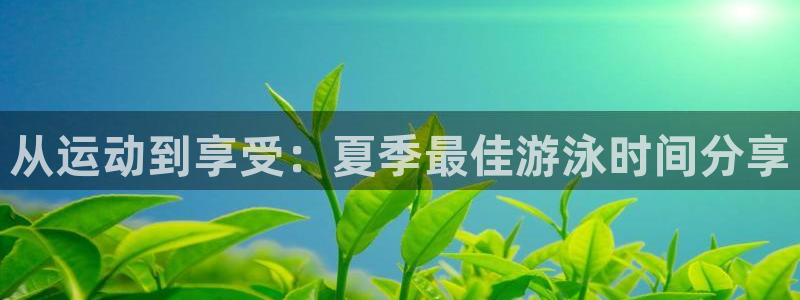 沐鸣2体育和杏耀是哪个公司的