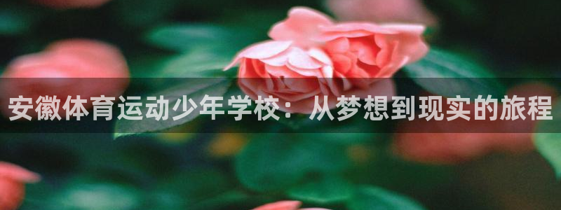 沐鸣平台注册