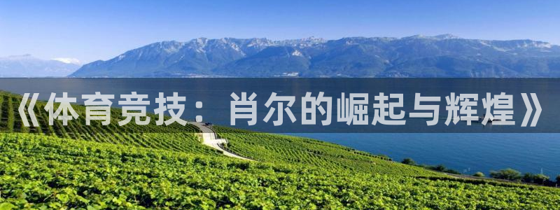 德国沐鸣2集团