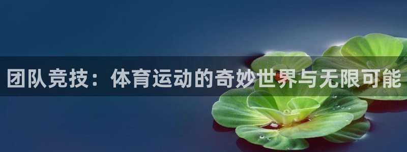沐鸣23登陆