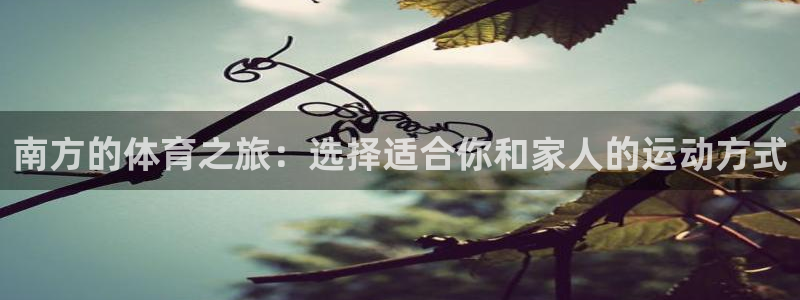 沐鸣2体育官网登录