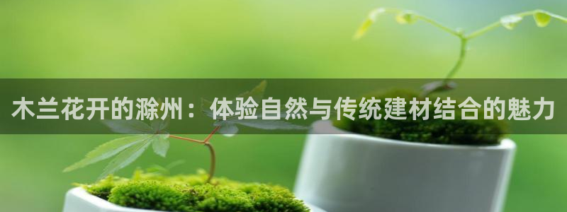 沐鸣23官网